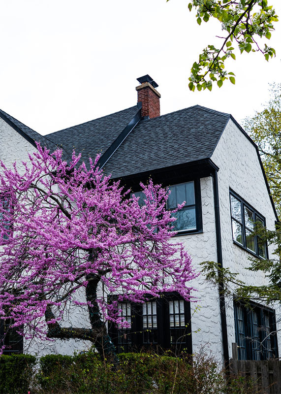 Top Hat & Tails Chimney -Stock image of house White House with a dark roof and a brick chimney