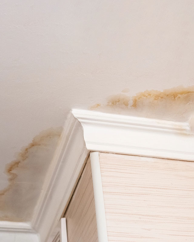 Top Hat & Tails Chimney - Stock image of water damage water damaged ceiling